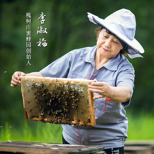 黄连蜂蜜350g 后味微苦 甜而不腻 珍贵的特色小蜜源蜂蜜 自然成熟 优质原蜜 商品图3
