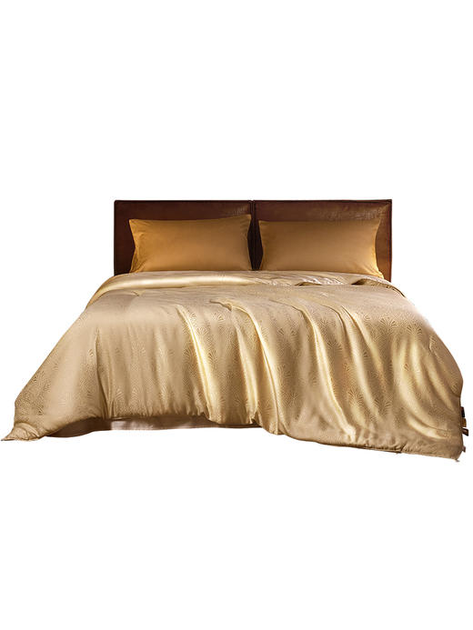 佳丽斯黄金丝蚕丝被子纯手工桑蚕丝冬被芯加厚保暖官方旗舰店正品 商品图1