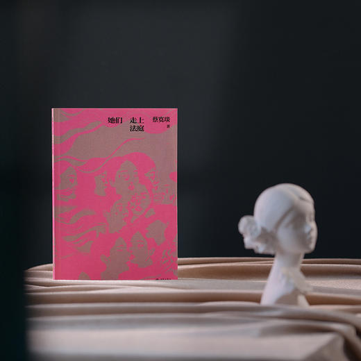 《她们走上法庭》一部写给所有女性的励志之书与自我保护指南 商品图7