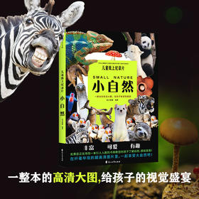 儿童纸上纪录片:小自然 波点童趣编著