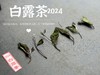 【2024白露茶】清新沁凉，带着清鲜之山野气韵的甜花香，空灵、甜美（1斤收藏装） 商品缩略图5