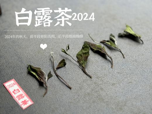 【2024白露茶】清新沁凉，带着清鲜之山野气韵的甜花香，空灵、甜美（1斤收藏装） 商品图5