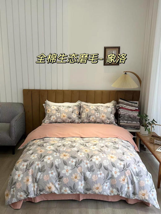 LSN165180全棉磨毛印花四件套 商品图1