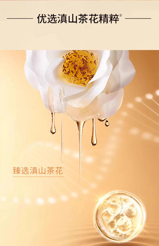 相宜本草山茶花买一送一 商品图2