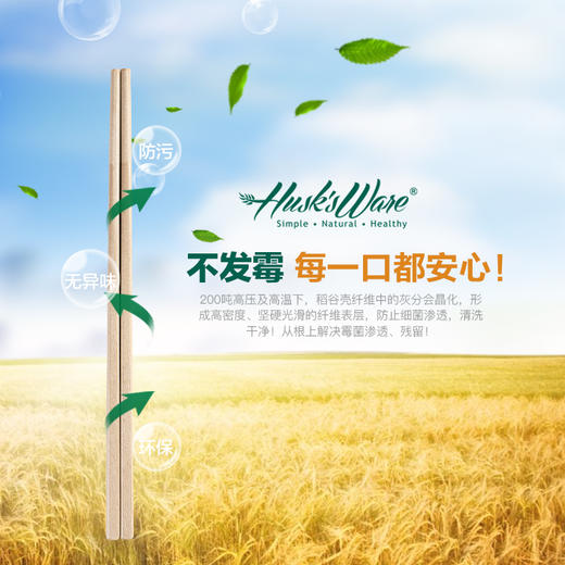 正品壳氏唯天然稻谷壳筷子抗菌防霉防滑中式家用快子高档餐具耐高 商品图3