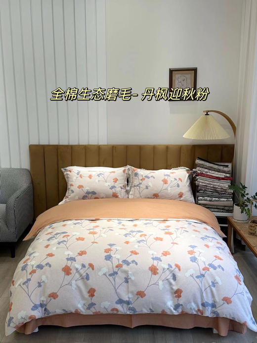 LSN165180全棉磨毛印花四件套 商品图5