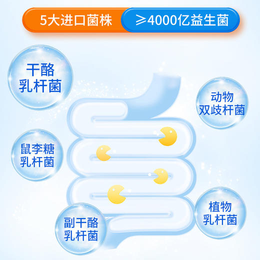 斯强益生菌  4000亿CFU/盒  20袋装 商品图1
