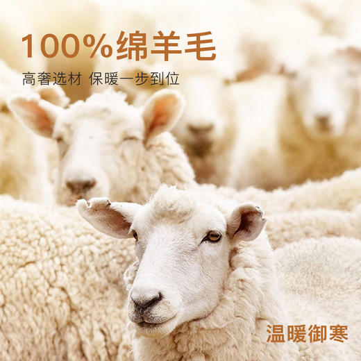 【100%绵羊毛填充】秋冬530g加厚护膝护腰男士保暖裤棉裤男士衔缝保暖裤 商品图4