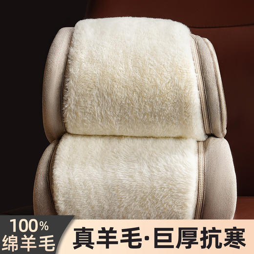 【100%绵羊毛填充】秋冬530g加厚护膝护腰男士保暖裤棉裤男士衔缝保暖裤 商品图1