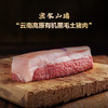 密架山猪高原放养*黑毛土猪肉 南京大学扶贫县特产 商品缩略图4