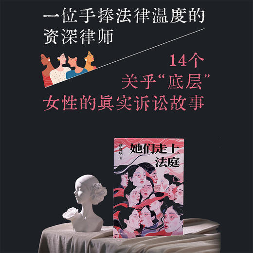 《她们走上法庭》一部写给所有女性的励志之书与自我保护指南 商品图1