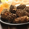 在菌屋 云南高原纯野生羊肚菌干货50g/罐 商品缩略图7