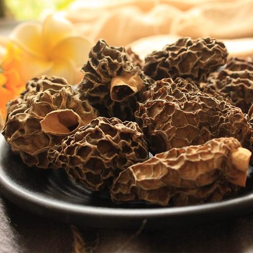 在菌屋 云南高原纯野生羊肚菌干货50g/罐 商品图7