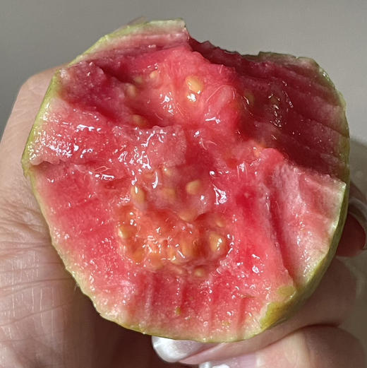 芭乐妹妹 奶油芭乐 净重4.5-5斤/箱 商品图6