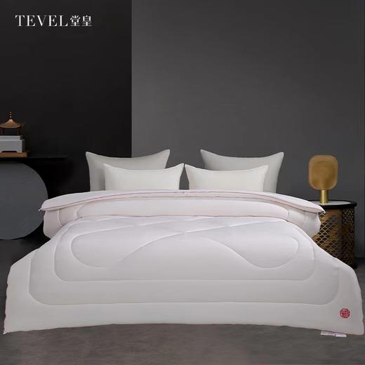 6F堂皇家纺如意大豆抗菌春秋被 商品图0