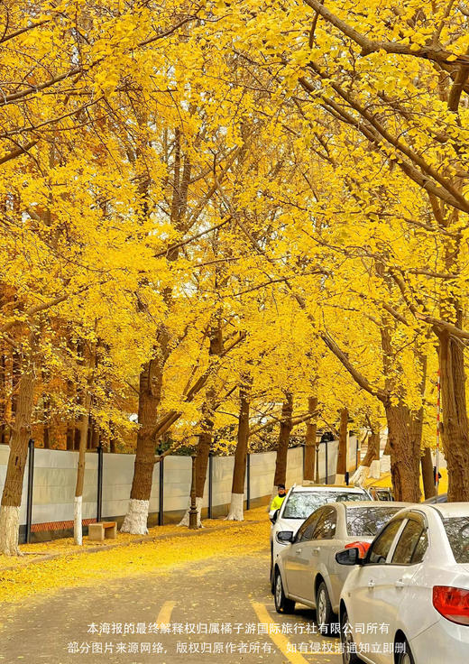 【嗨玩山东】双飞6日 商品图1