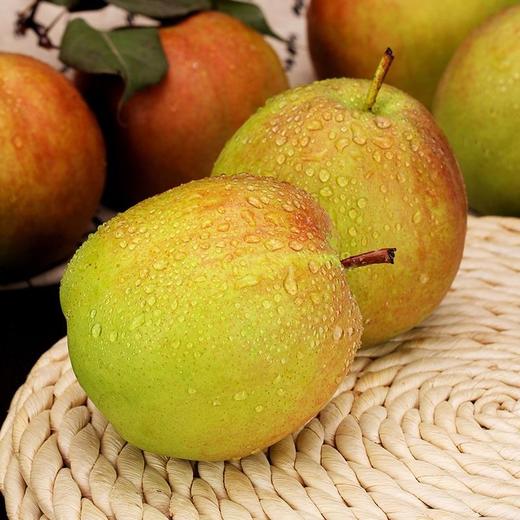 玉露香梨  500g/份 商品图0