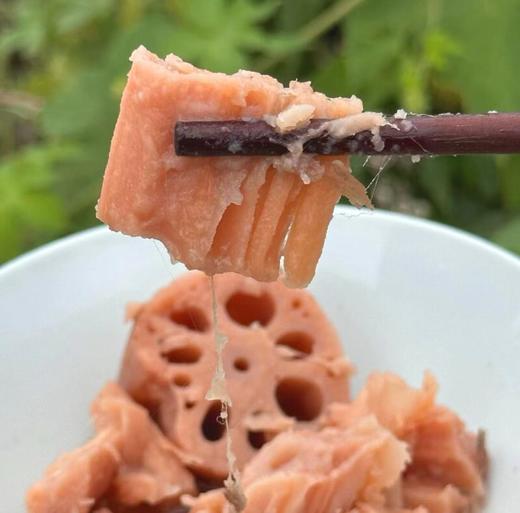 湖北洪湖 现挖生态青泥巴莲藕 粉糯香甜 商品图2