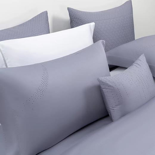 6F堂皇家纺长绒棉四件套/星悦 商品图1