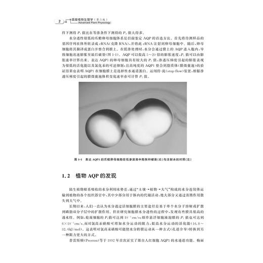 高级植物生理学（第二版）/主编 郑炳松 袁虎威 陆开形 郝明灼/浙江大学出版社 商品图1