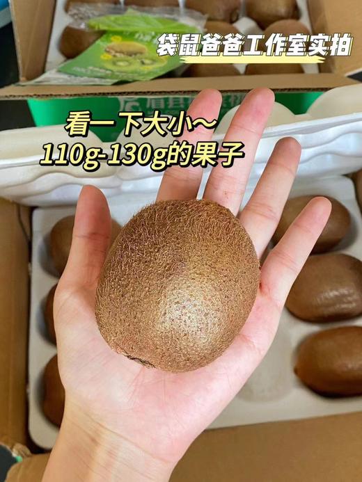 【美味水果丨眉县徐香猕猴桃4.5斤装】秦岭原山泉水灌溉，使用动物有机肥，人工除草，环环生态，套袋防止晒伤，口感浓郁醇香，果香十足，香甜如蜜。 商品图9