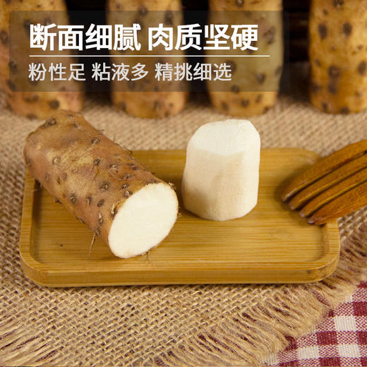 【真一粉丝专享】温县垆土铁棍山药5斤 原产直发 商品图2