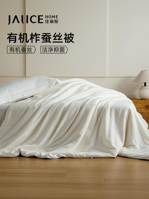 佳丽斯100%蚕丝被子全棉纯棉春秋被冬被四季通用加厚被芯2024新款 商品图0