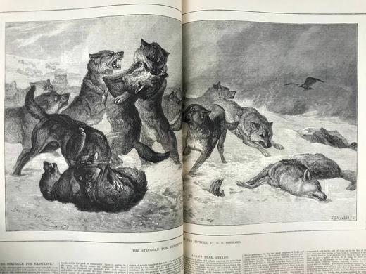 41*29cm！1880年上半年 伦敦新闻画报 数百幅版画插图 真皮精装8开 商品图8