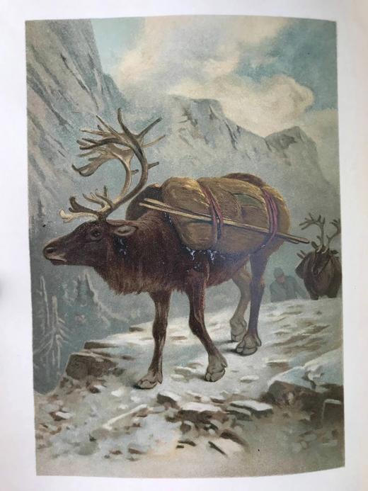 1904年 通俗自然史 600余幅插图（含多幅彩色） 全真皮精装大32开 商品图5