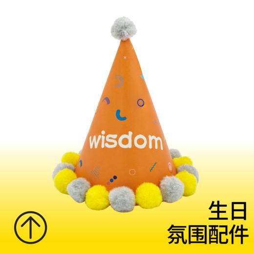 橙色wisdom生日绒帽 商品图0