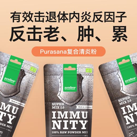 比利时 purasana 净yan内服灵芝姜黄素粉 商品图0