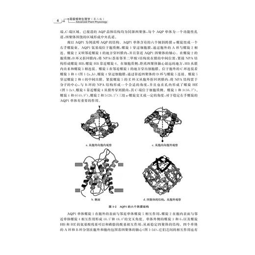 高级植物生理学（第二版）/主编 郑炳松 袁虎威 陆开形 郝明灼/浙江大学出版社 商品图3