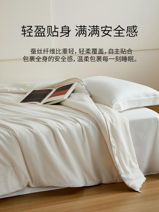 佳丽斯100%蚕丝被子全棉纯棉春秋被冬被四季通用加厚被芯2024新款 商品图7