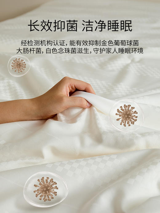佳丽斯100%蚕丝被子全棉纯棉春秋被冬被四季通用加厚被芯2024新款 商品图5