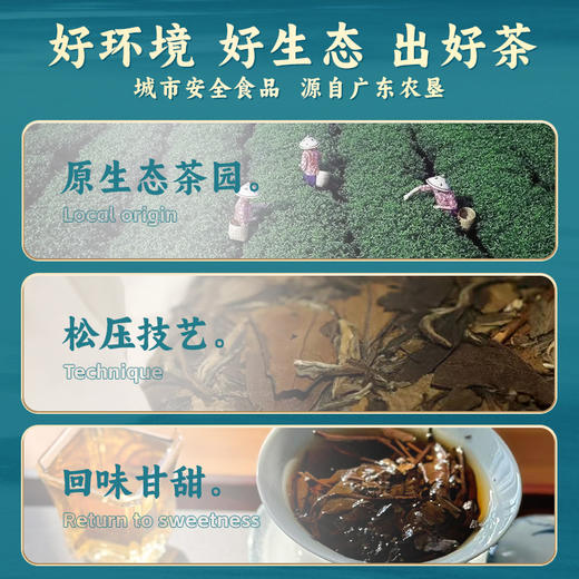 L雄鸥龙腾虎跃500克 商品图1