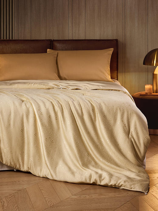 佳丽斯黄金丝蚕丝被子纯手工桑蚕丝冬被芯加厚保暖官方旗舰店正品 商品图7