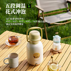 大宇电热水杯家庭版巨无霸烧水杯D13