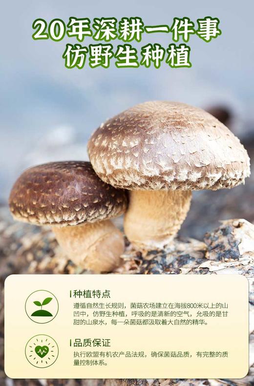 [有机]悦意香菇90g纯素食干菇菌菇蘑菇特产干香菇剪脚冬菇特产 商品图1