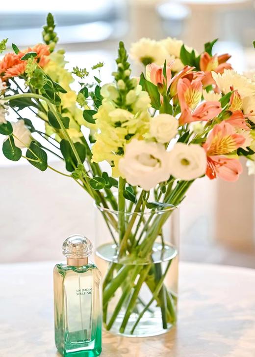 原香税仓小瑕疵爱马尼罗河花园香水 商品图9