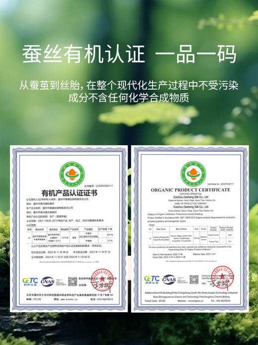 佳丽斯100%蚕丝被子全棉纯棉春秋被冬被四季通用加厚被芯2024新款 商品图3