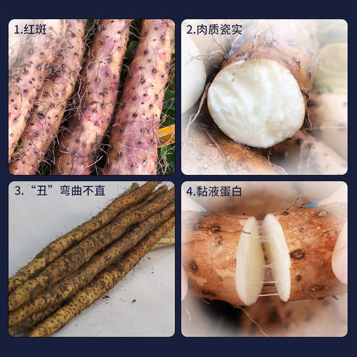 好东西！【顺丰陆运】垆土铁棍山药 45公分左右/55公分左右 ，非常绵软，很粉糯 这会口感非常好 商品图4