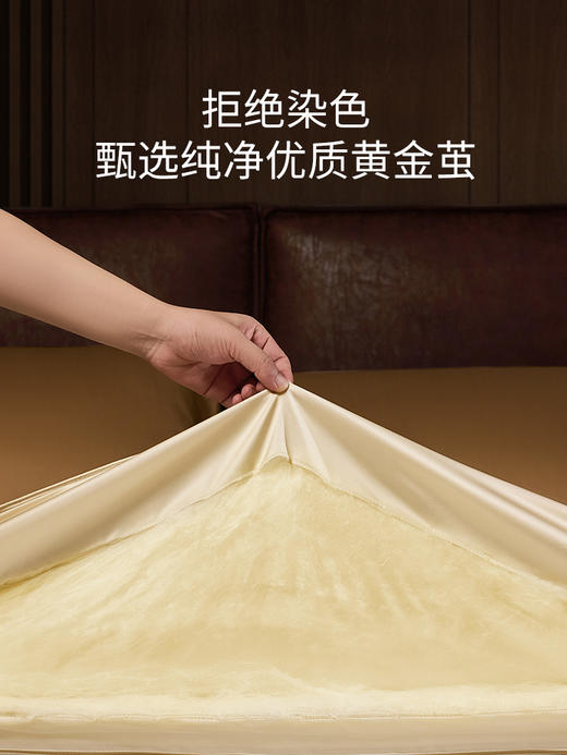 佳丽斯黄金丝蚕丝被子纯手工桑蚕丝冬被芯加厚保暖官方旗舰店正品 商品图6