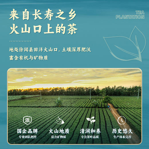 L雄鸥龙腾虎跃500克 商品图2