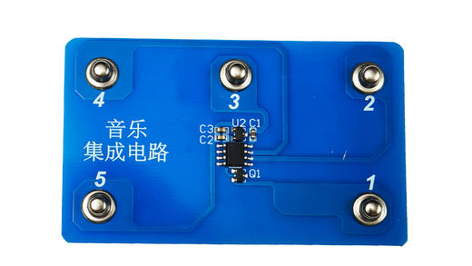 无外壳集成电路 商品图3