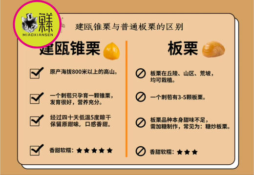 📦🌰建瓯锥栗🌰地理标志农产品（基地直发包邮） 商品图4