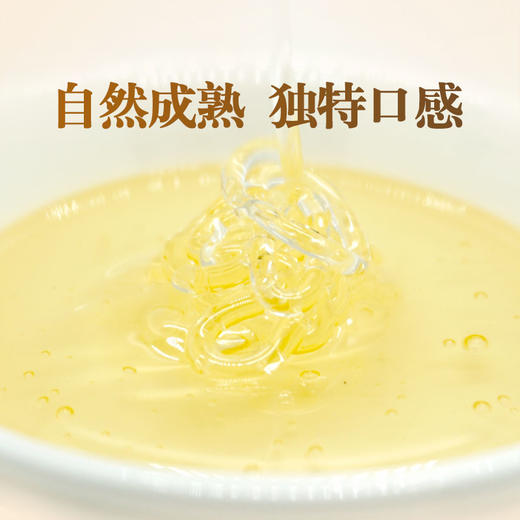 黄芪蜂蜜350g 黄芪之精 元气满满 珍贵小蜜源蜜种  结晶蜜介意勿拍 商品图1