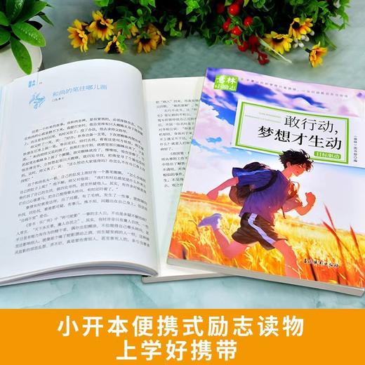 意林小励志（全4册） 商品图5