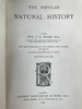 1904年 通俗自然史 600余幅插图（含多幅彩色） 全真皮精装大32开 商品缩略图2