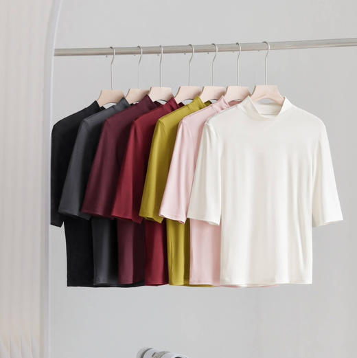 女士德绒5.0四季款轻薄保暖高弹打底衫（半高领5分袖） 商品图1