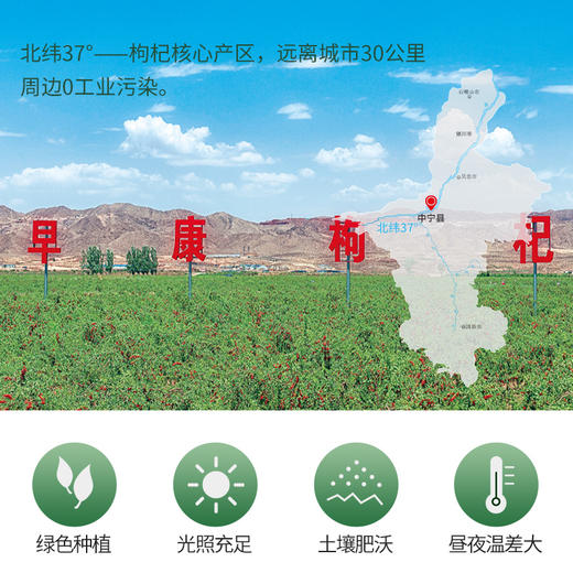 【有机】早康有机枸杞500g 商品图2